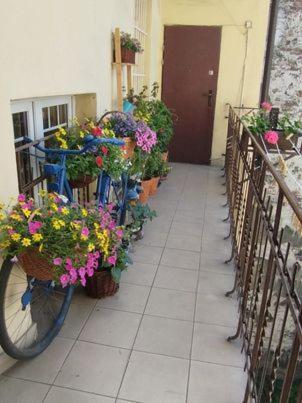 קרקוב Miodowa Apartment מראה חיצוני תמונה